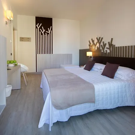 Desenzano מלון 4*